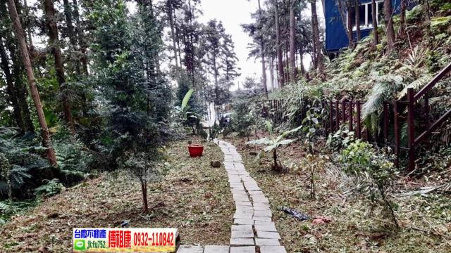 新竹北埔林地-11