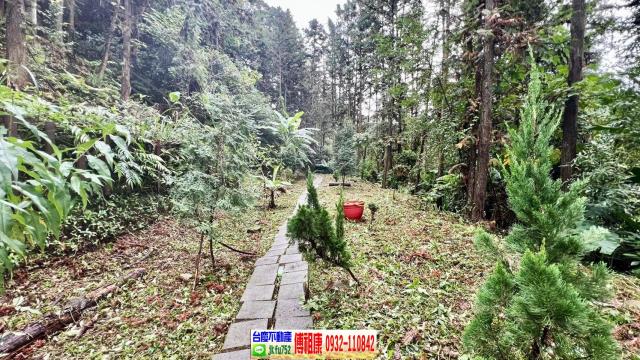 新竹北埔林地-12