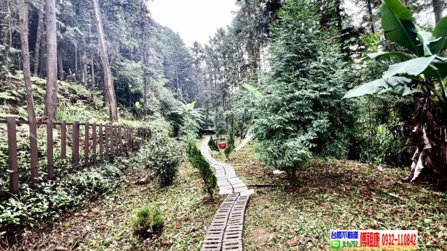 新竹北埔林地-13