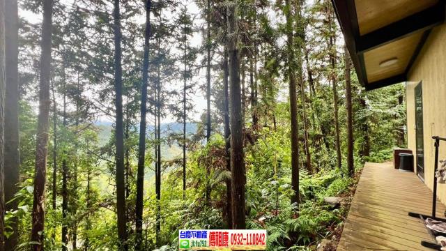 新竹北埔林地-3