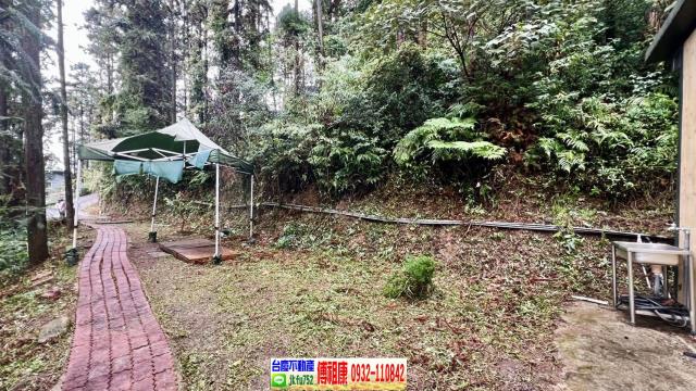 新竹北埔林地-4