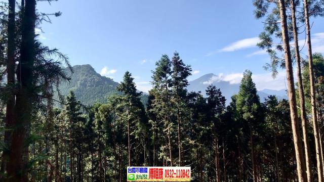 新竹北埔林地-9