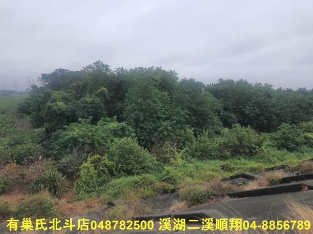 溪州農地-1