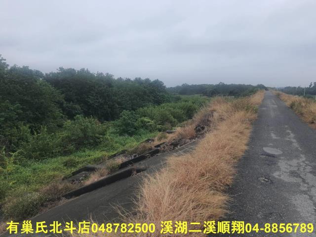 溪州農地-2