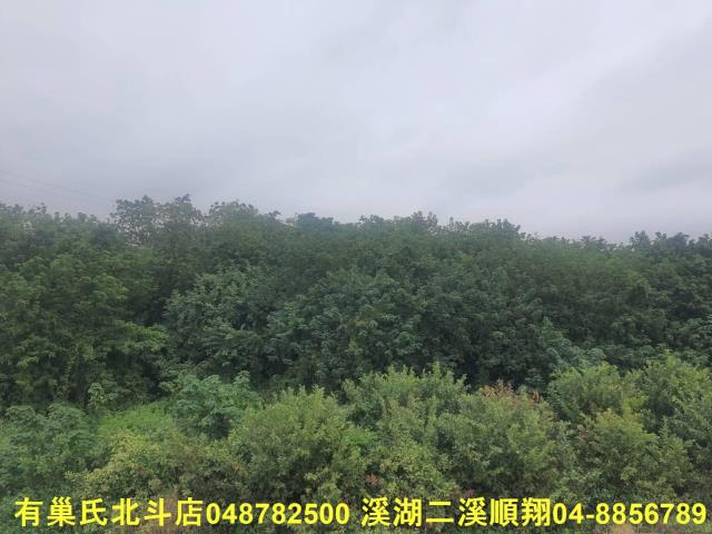 溪州農地-3