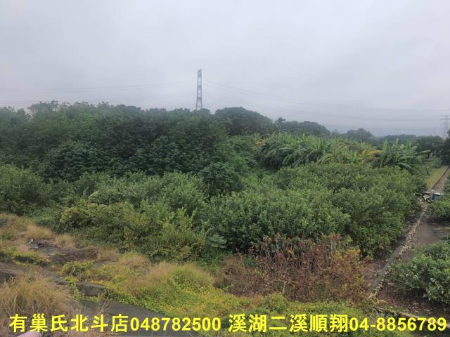 溪州農地-4