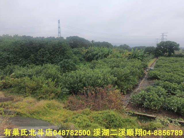 溪州農地-6