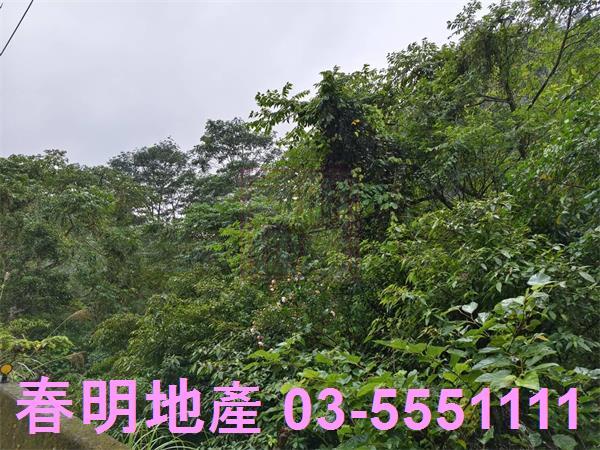 北埔農地-11