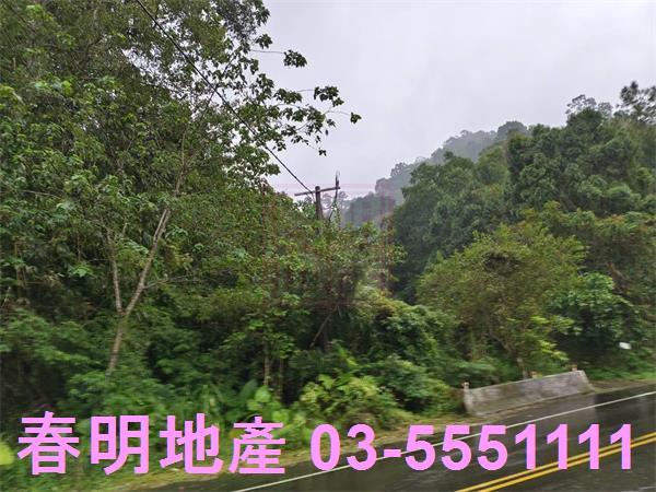 北埔農地-12