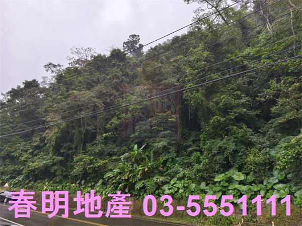 北埔農地-1