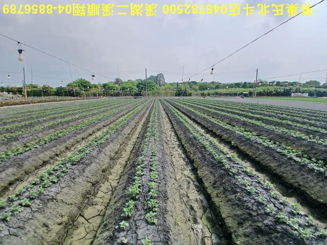 田尾農地-11