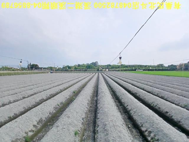 田尾農地-3