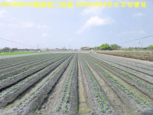 田尾農地-6