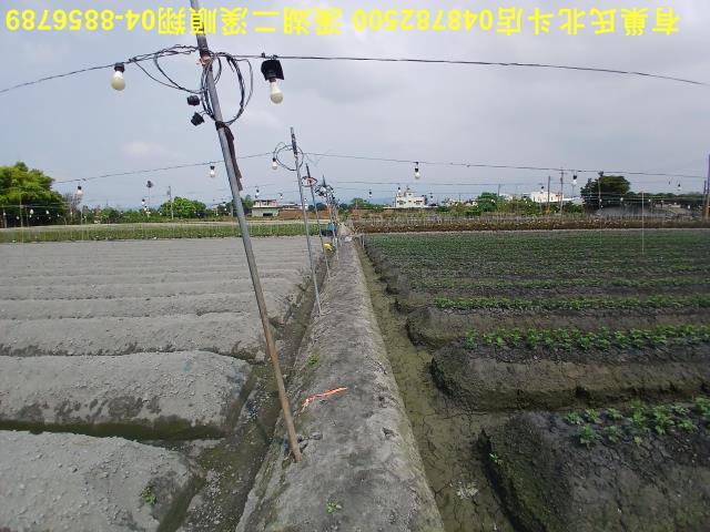田尾農地-9