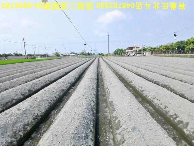 田尾農地-10