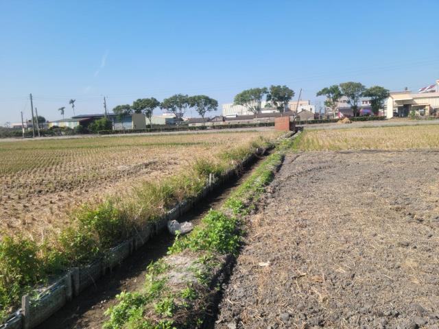 埤頭農地-1