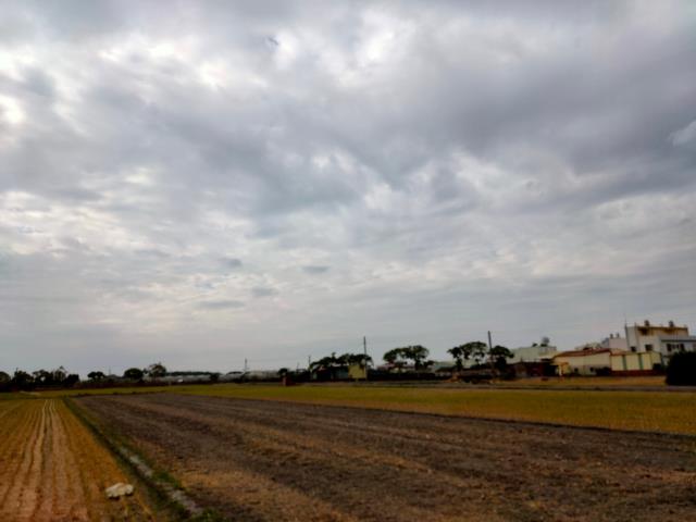 埤頭農地-8