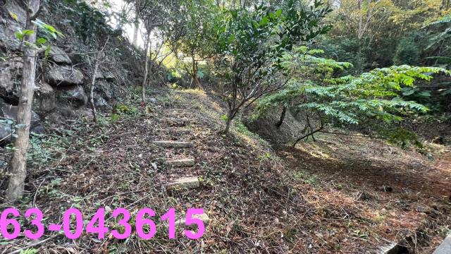 北埔農地-11