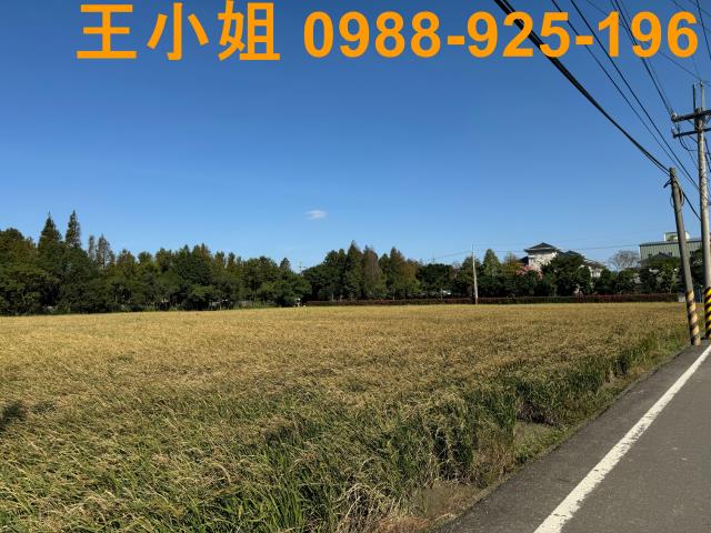 桃園農地-6