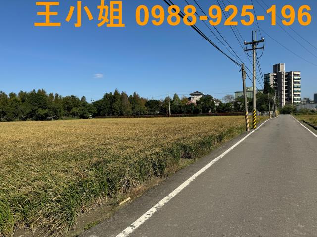 桃園農地-7