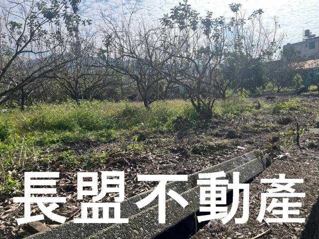 台中農地-10