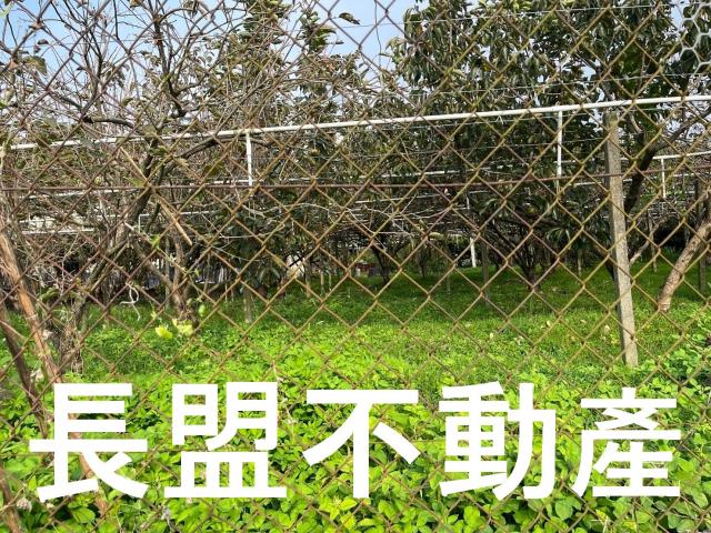 台中農地-2