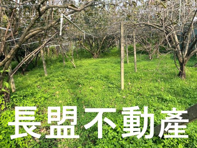 台中農地-3