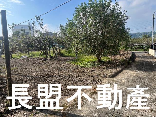 台中農地-7