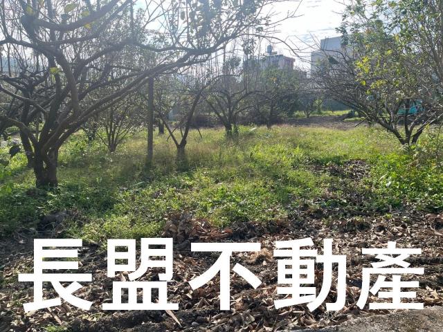 台中農地-8