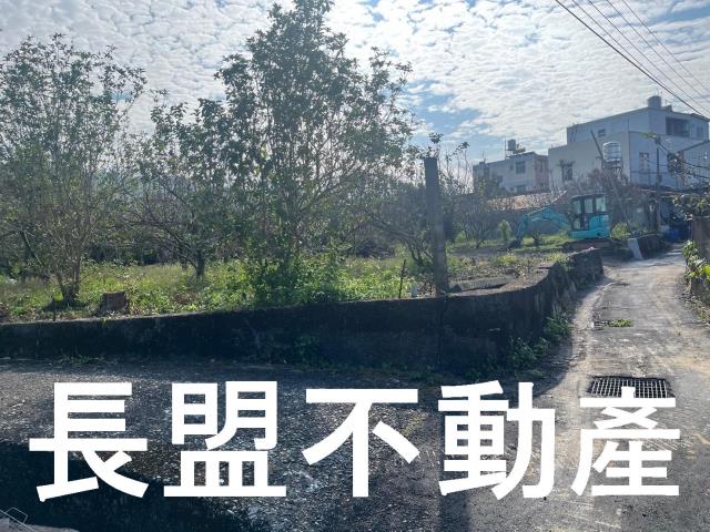 台中農地-9