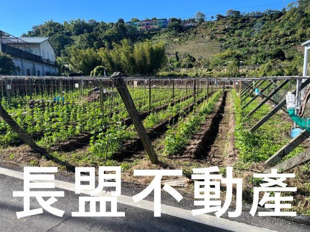 台中農地-1