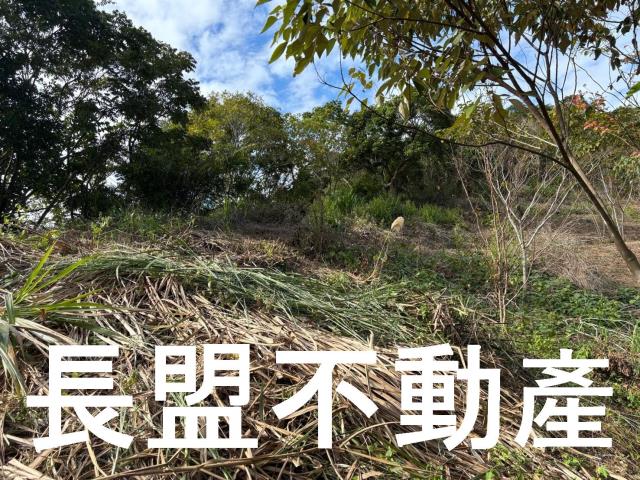 台中山坡地-8