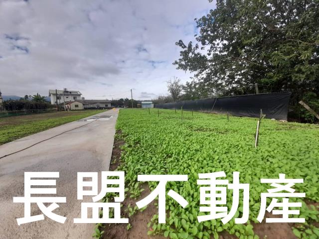 台中農地-1