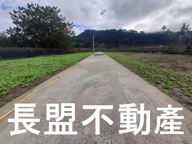 台中農地-3
