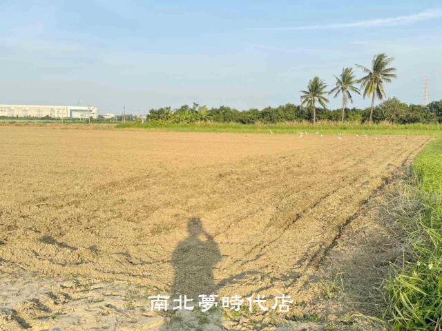 台南新市農地-10