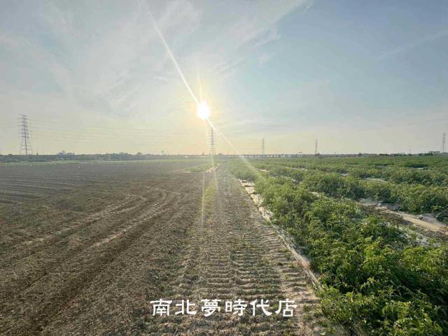台南新市農地-11