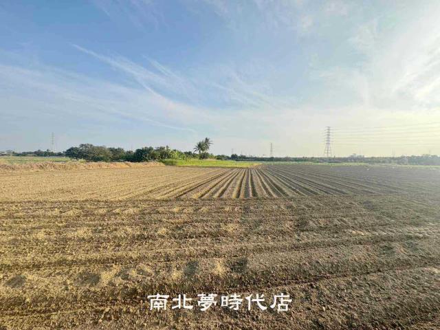 台南新市農地-13