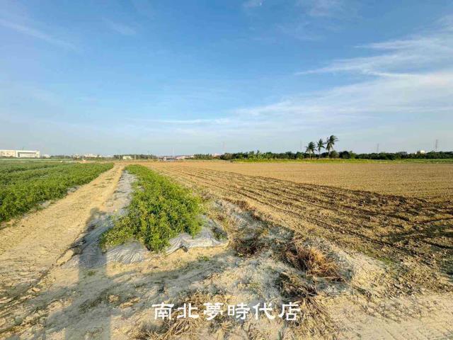 台南新市農地-1