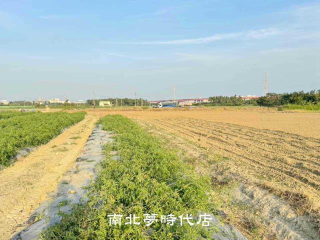 台南新市農地-3