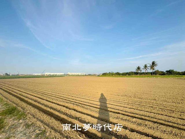 台南新市農地-5