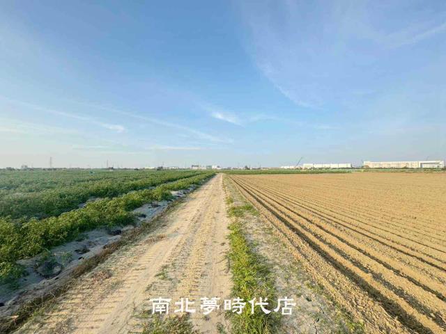 台南新市農地-6