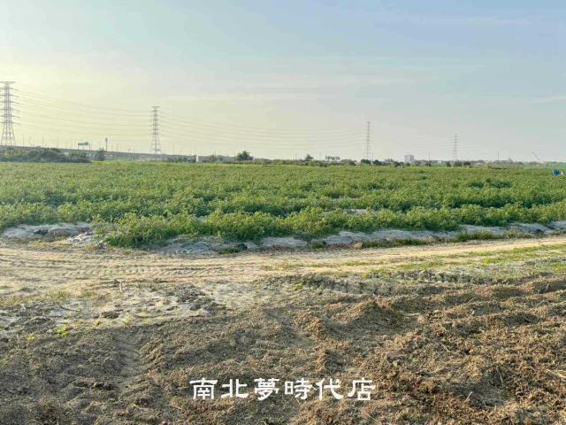 台南新市農地-7