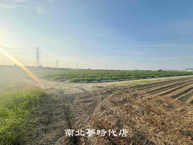 台南新市農地-8