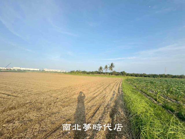 台南新市農地-9