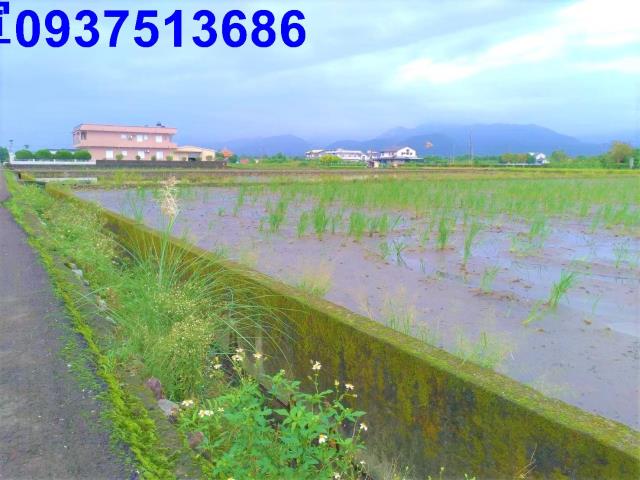宜蘭三星農地-2