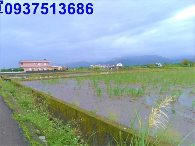 宜蘭三星農地-5