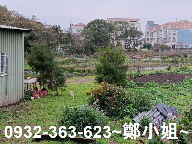 大溪農地-12