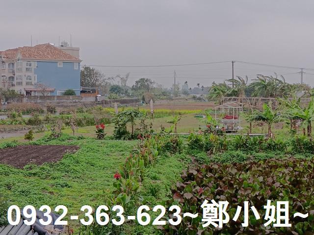 大溪農地-13