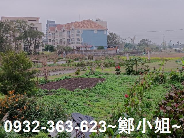 大溪農地-14
