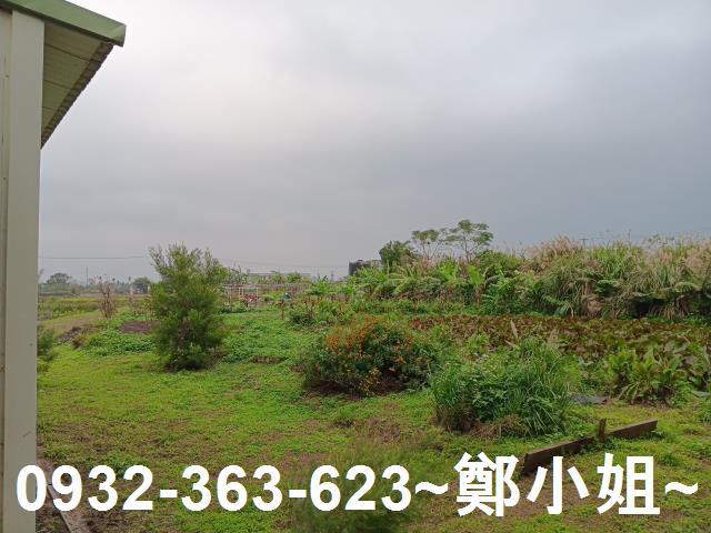 大溪農地-6
